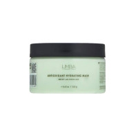 Limba Cosmetics Антиоксидантная маска для сухих и пористых волос Antioxidant Hydrating Mask (245 г)