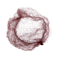 DEWAL PRO Сеточка-паутинка большая темно-коричневая (2 шт/уп) CE104