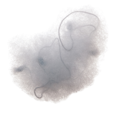 DEWAL PRO Сеточка для прически, серая (2 шт/уп) CE103