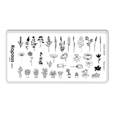 KAPOUS «Crazy story» Botanics 4, пластина для стемпинга